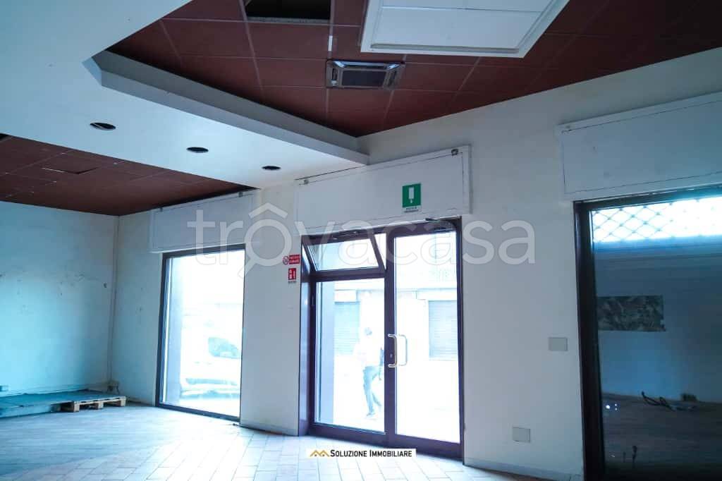 immagine annuncio 2 di 12