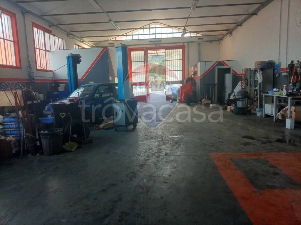 immagine annuncio 5 di 8