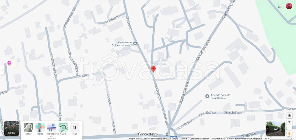 immagine annuncio 9 di 11