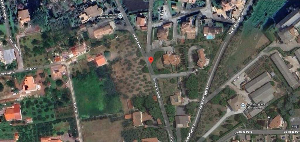 immagine annuncio 10 di 11