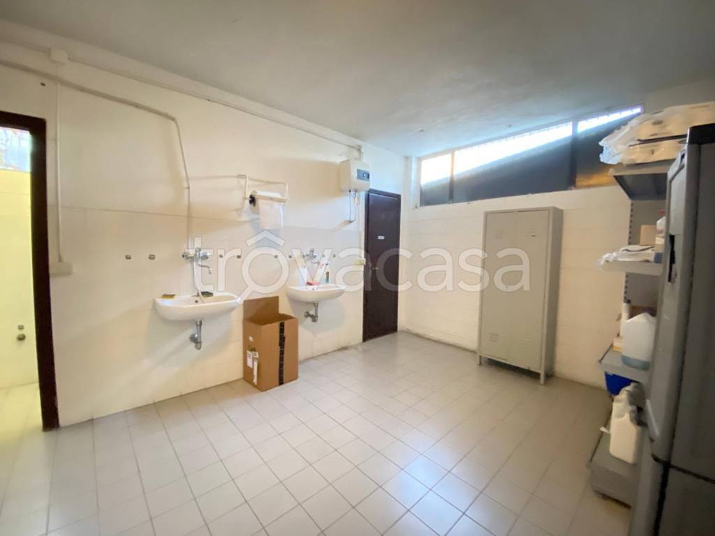 immagine annuncio 3 di 6