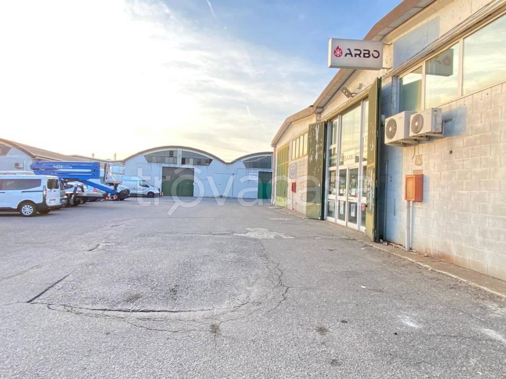 immagine annuncio 5 di 6