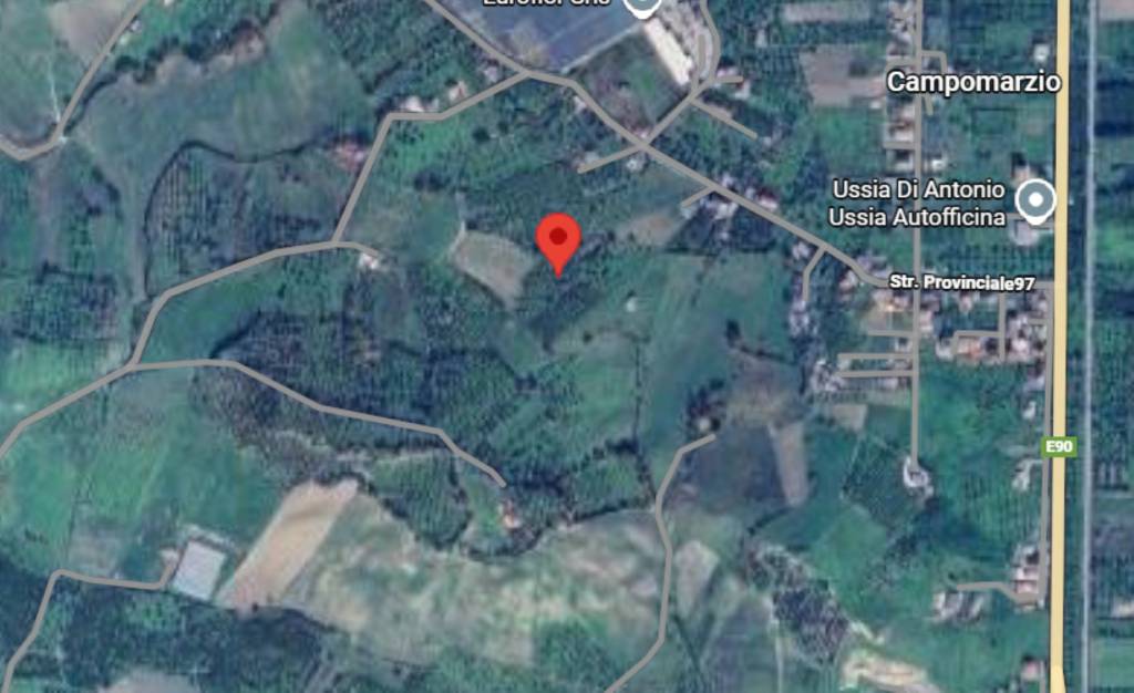 immagine annuncio 2 di 10