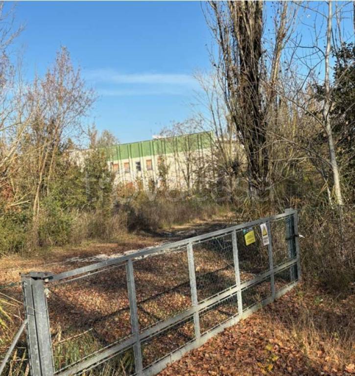 immagine annuncio 13 di 15