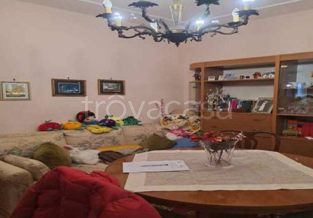 immagine annuncio 5 di 14