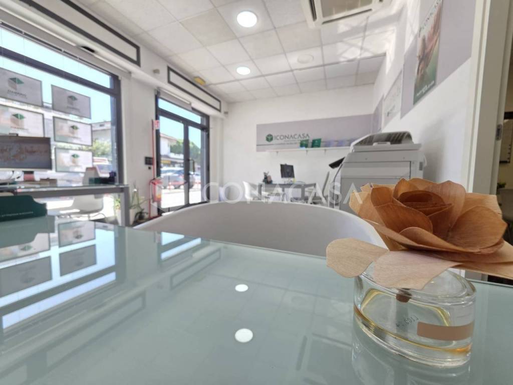 immagine annuncio 5 di 14