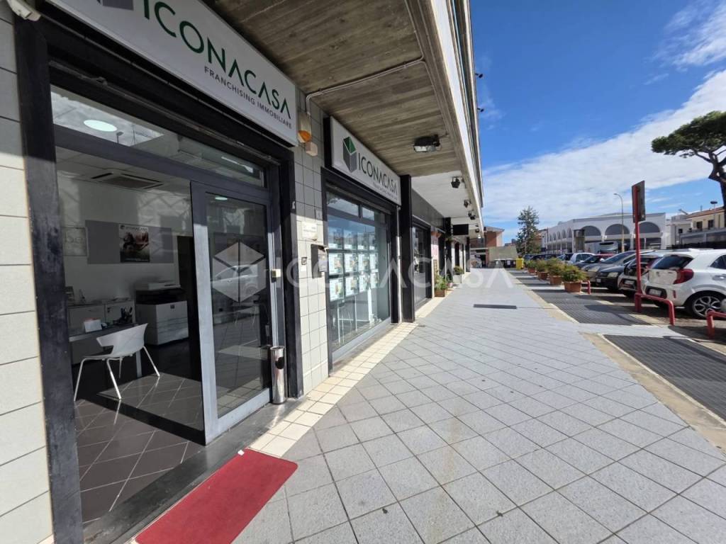 immagine annuncio 12 di 14