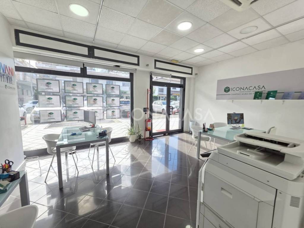 immagine annuncio 6 di 14