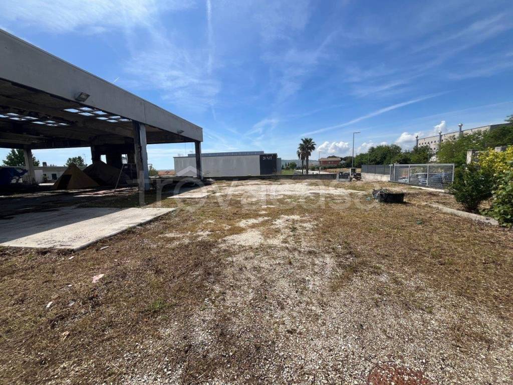 immagine annuncio 3 di 11