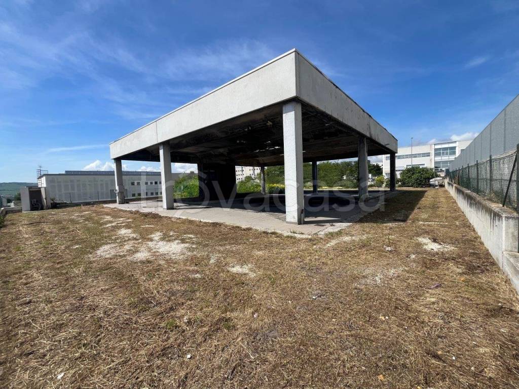 immagine annuncio 4 di 11