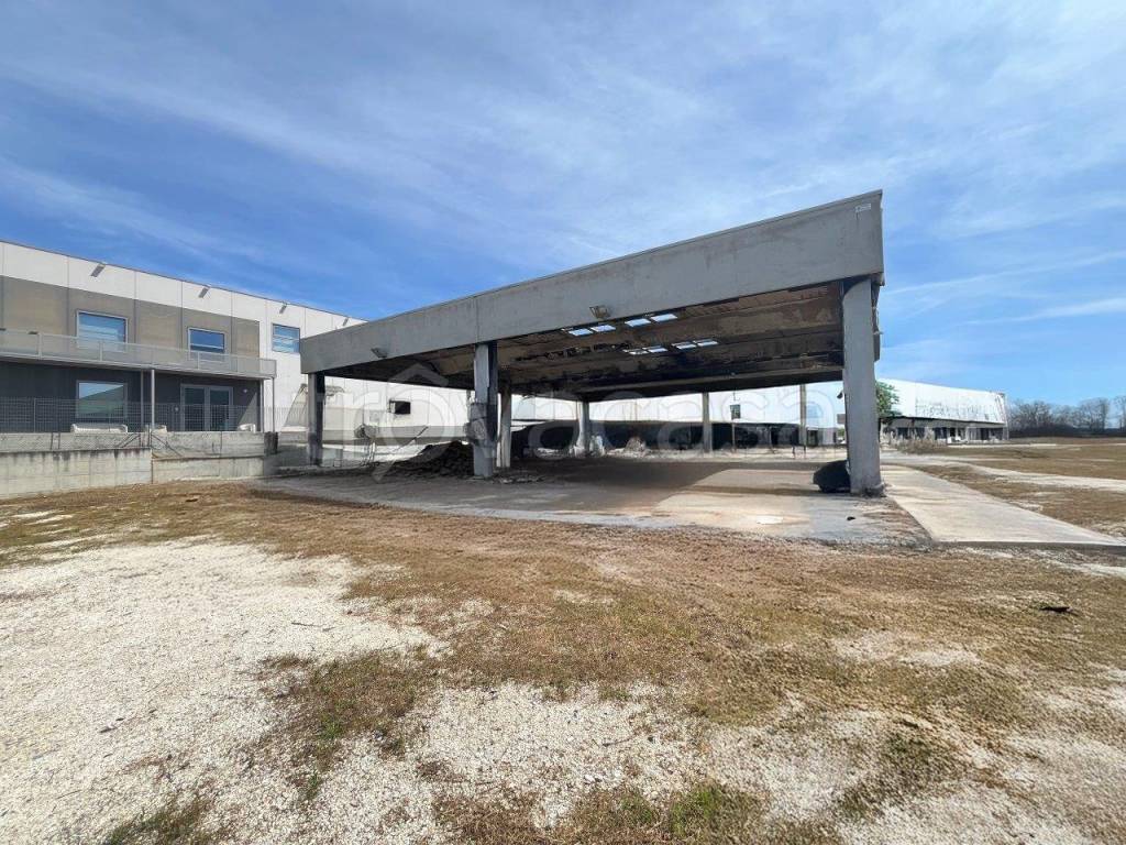 immagine annuncio 5 di 11