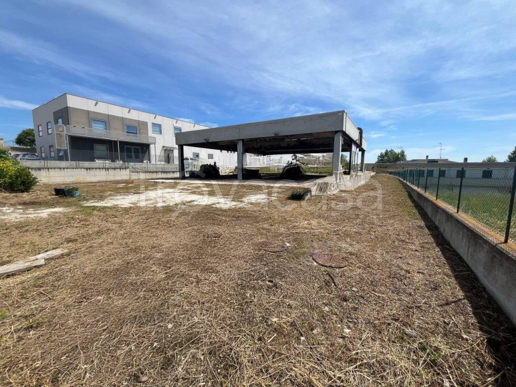 immagine annuncio 8 di 11