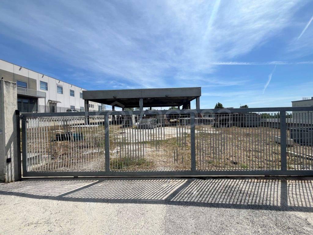 immagine annuncio 9 di 11