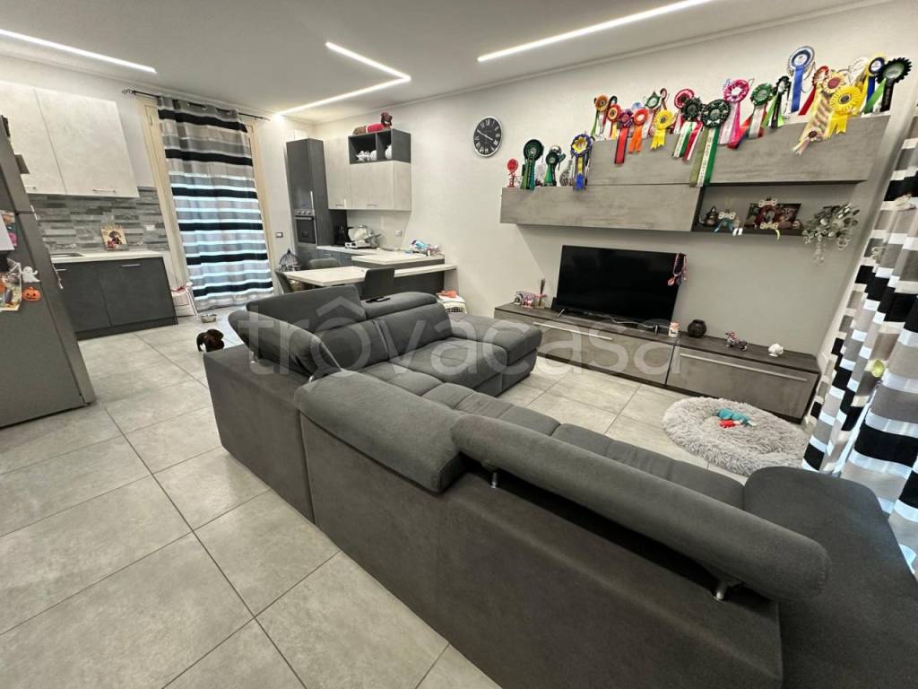 immagine annuncio 7 di 15