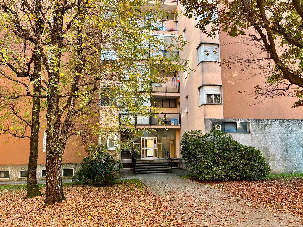 immagine annuncio 11 di 12