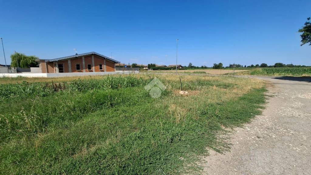 immagine annuncio 1 di 2