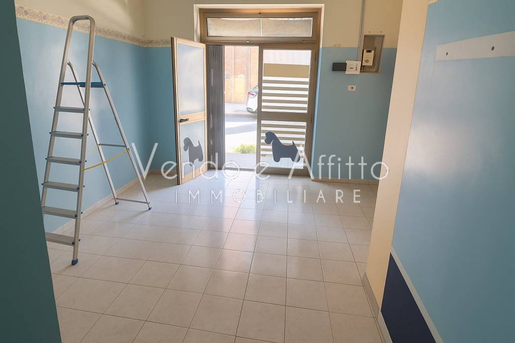 immagine annuncio 3 di 4