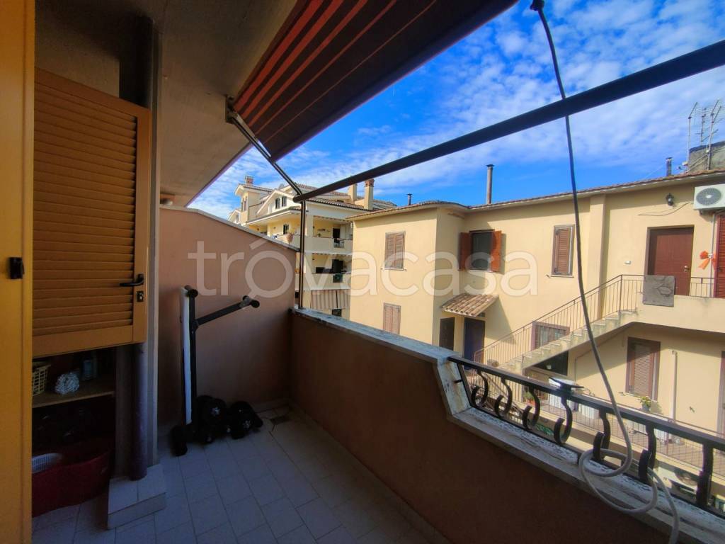 immagine annuncio 9 di 12