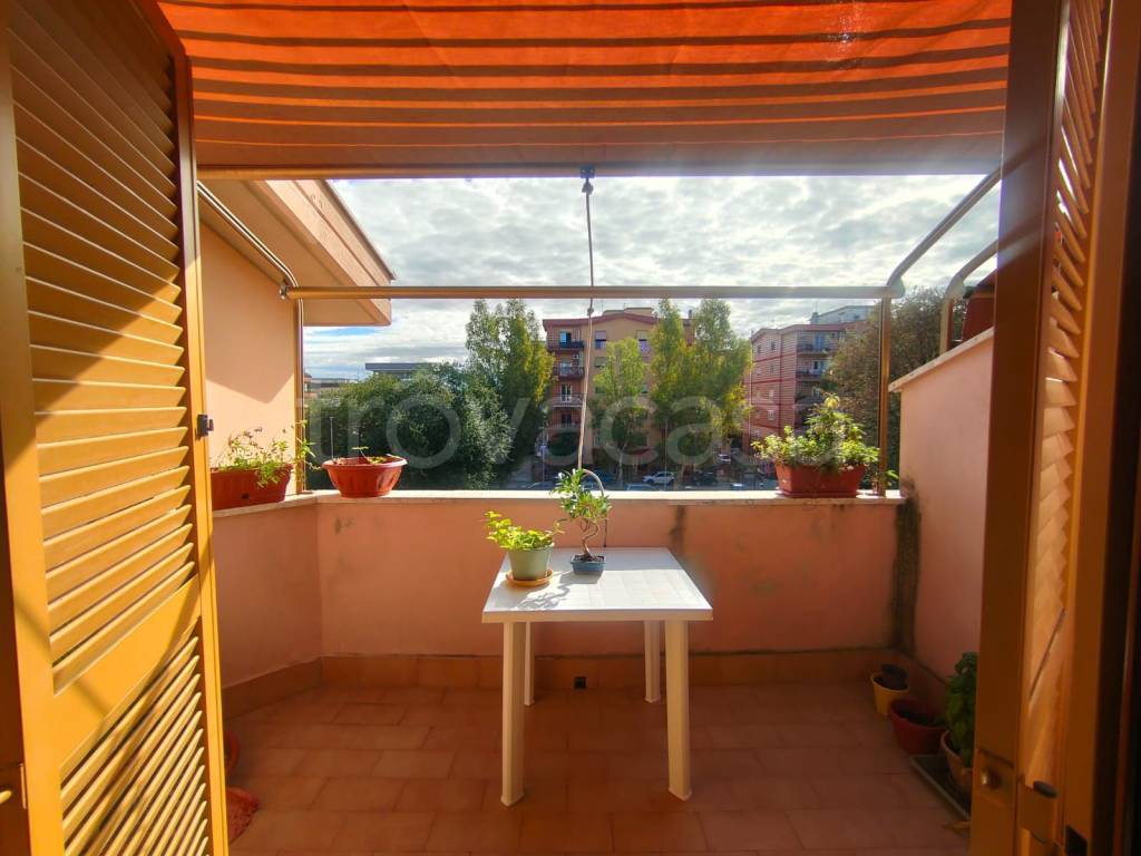 immagine annuncio 10 di 12