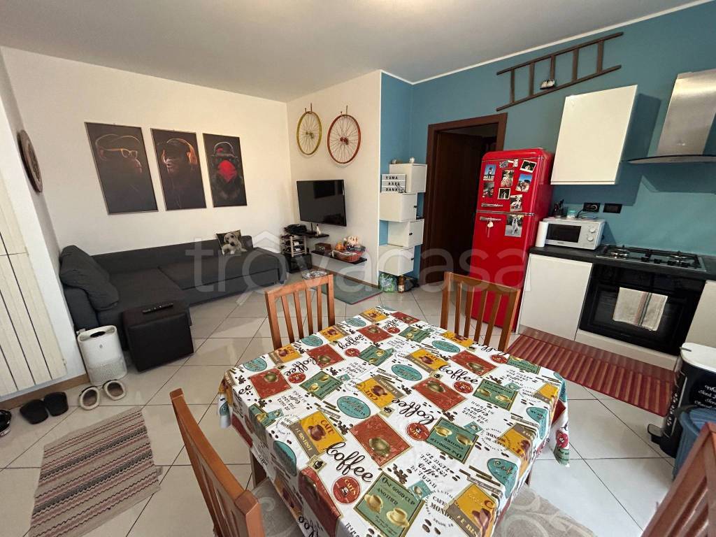 immagine annuncio 5 di 15