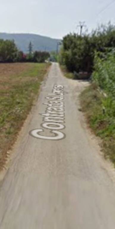 immagine annuncio 6 di 11