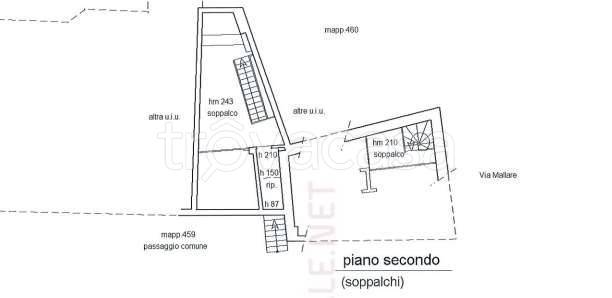 immagine annuncio 2 di 11