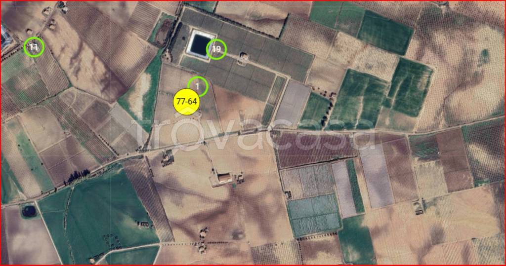 immagine annuncio 11 di 12