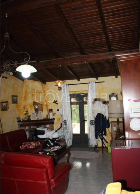 immagine annuncio 6 di 12