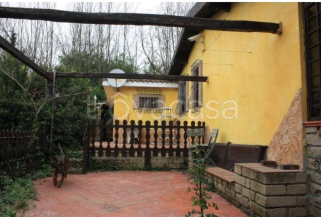 immagine annuncio 9 di 12