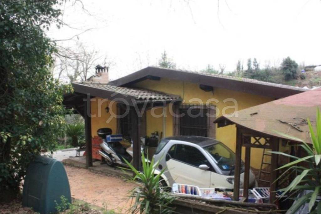 immagine annuncio 10 di 12