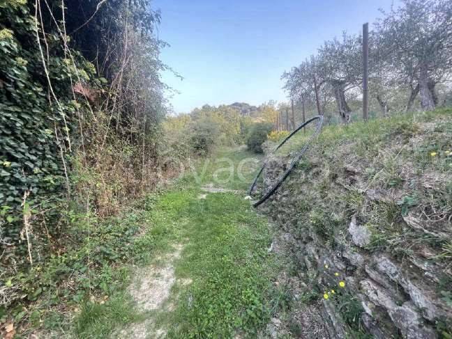 immagine annuncio 2 di 3