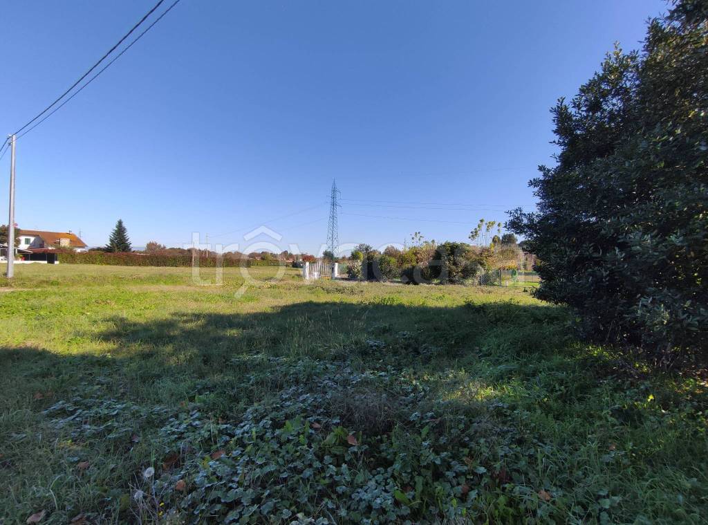 immagine annuncio 4 di 11