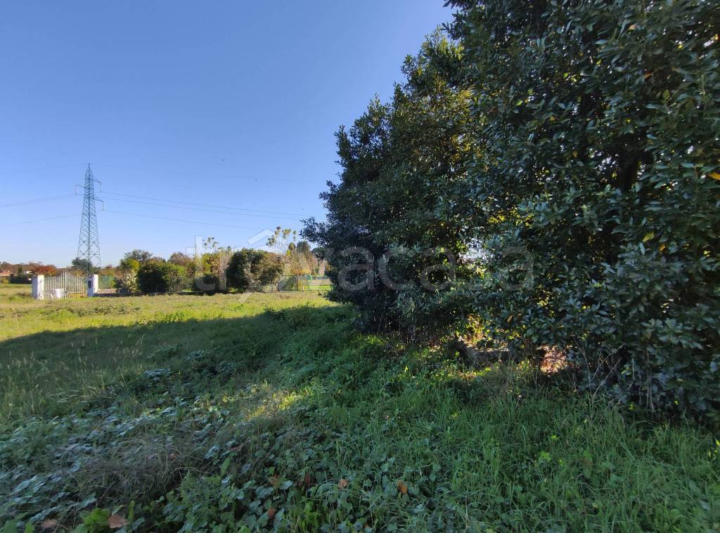 immagine annuncio 2 di 11