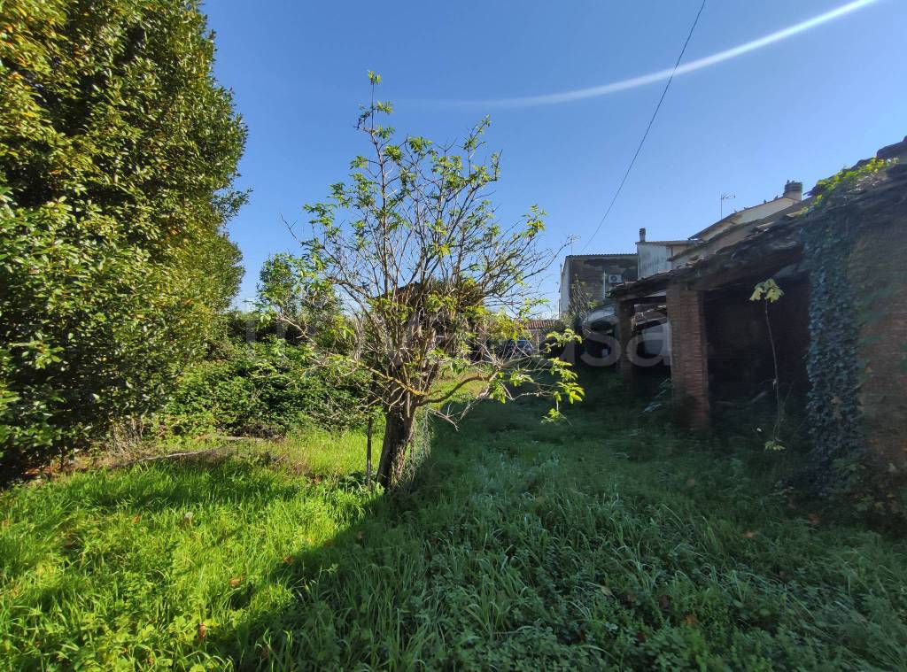 immagine annuncio 3 di 11