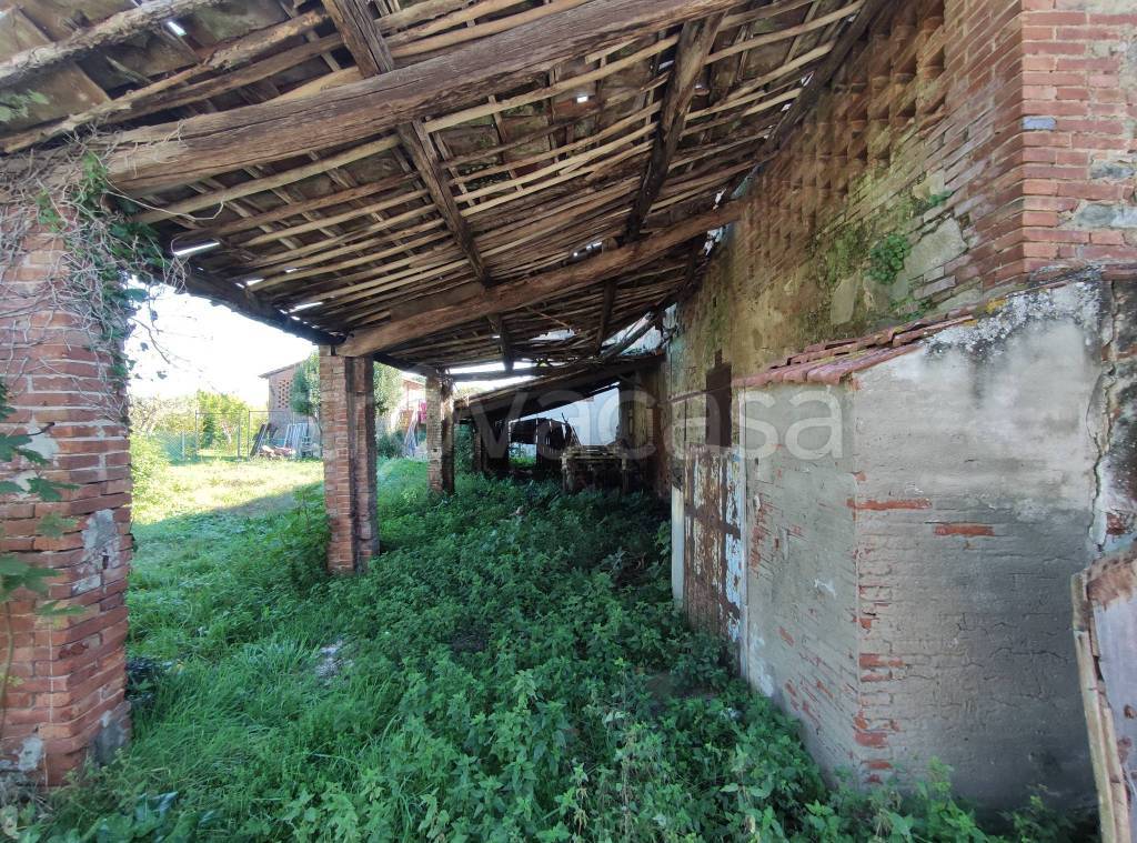 immagine annuncio 9 di 11