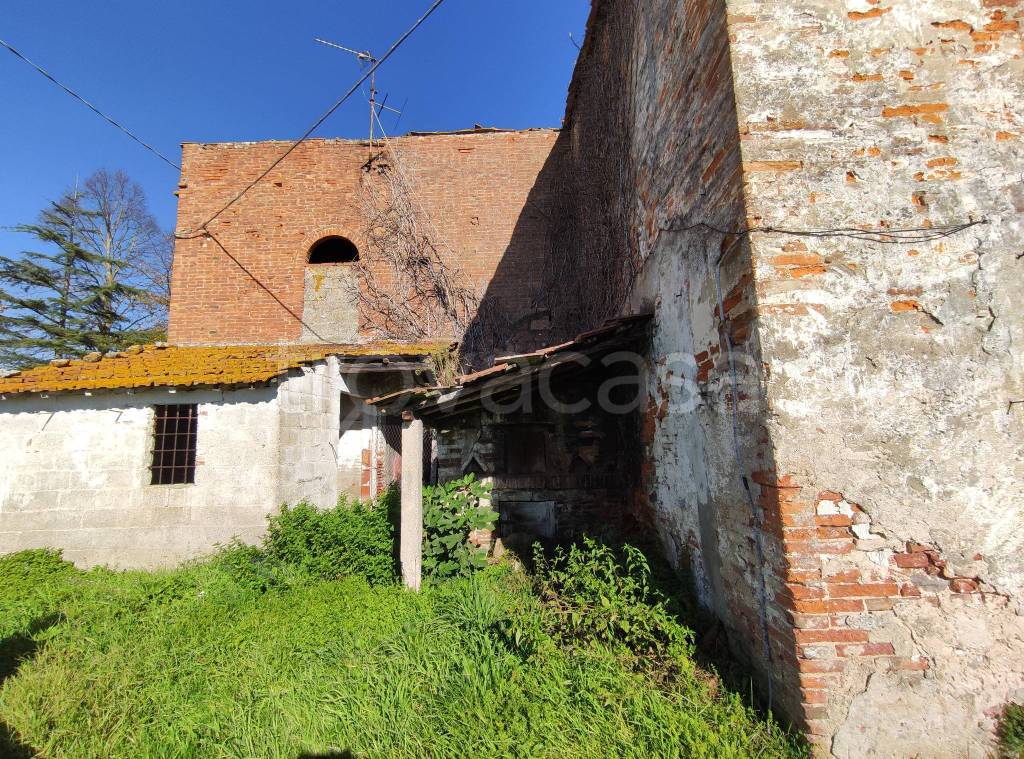 immagine annuncio 6 di 11