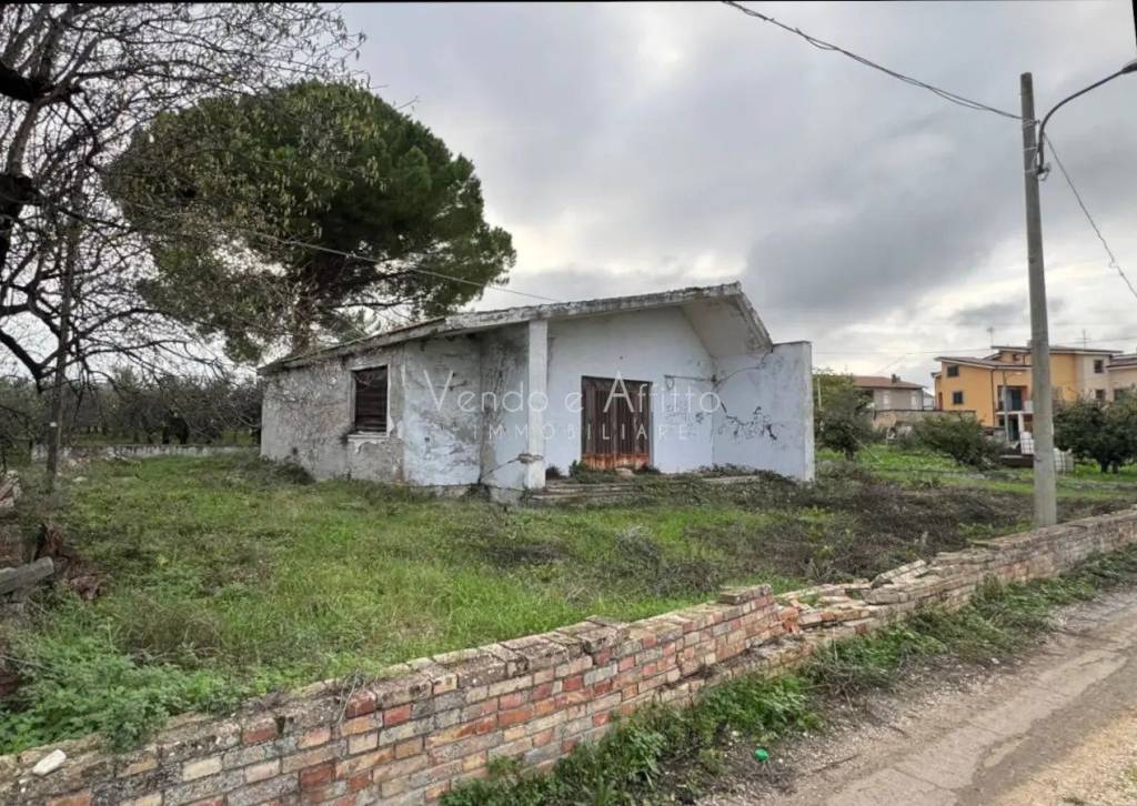 immagine annuncio 1 di 7