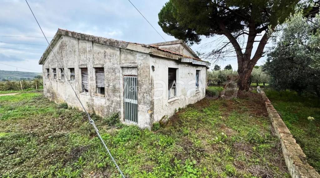 immagine annuncio 2 di 7