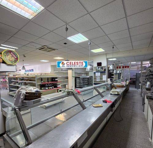 immagine annuncio 4 di 14