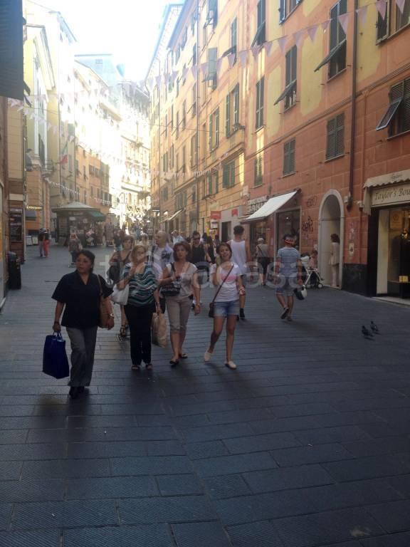 immagine annuncio 3 di 11