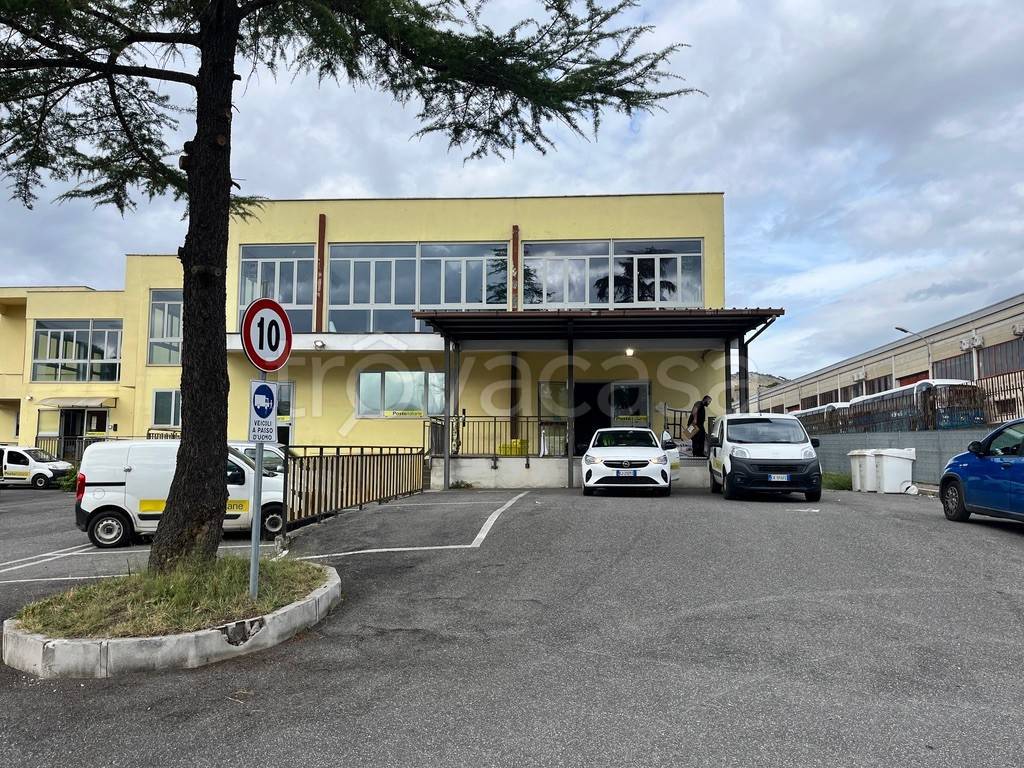 immagine annuncio 9 di 10