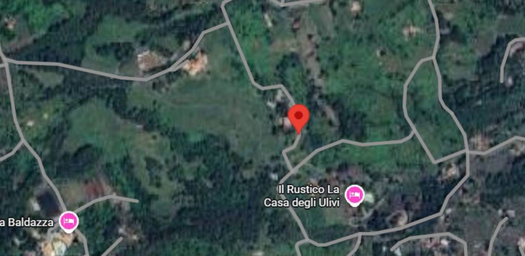 immagine annuncio 5 di 11