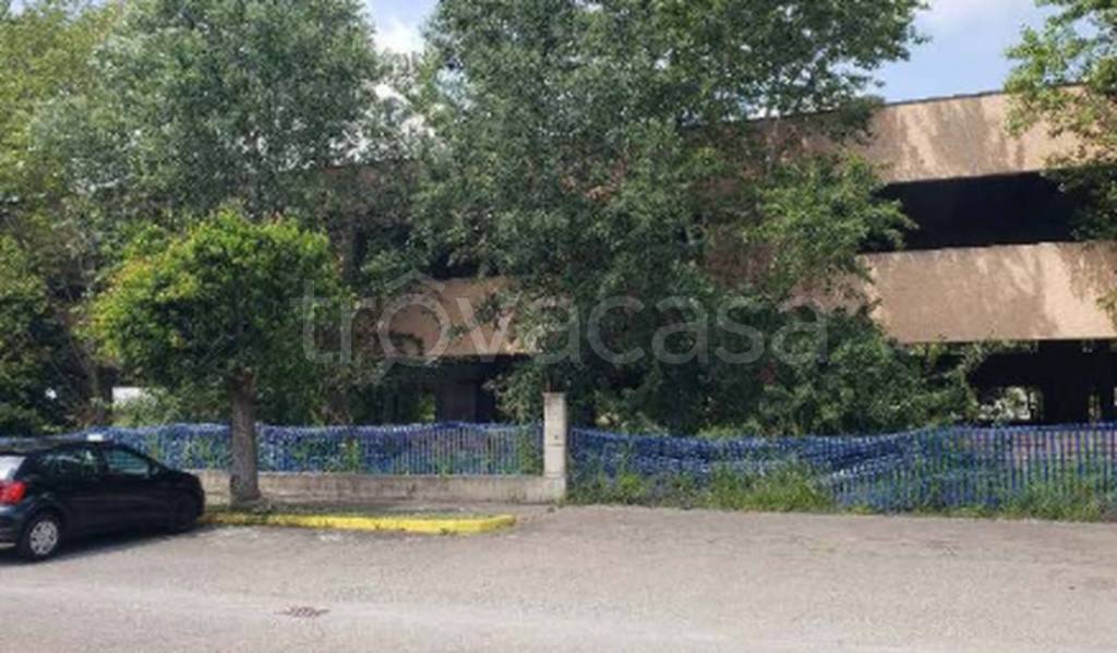 immagine annuncio 3 di 12