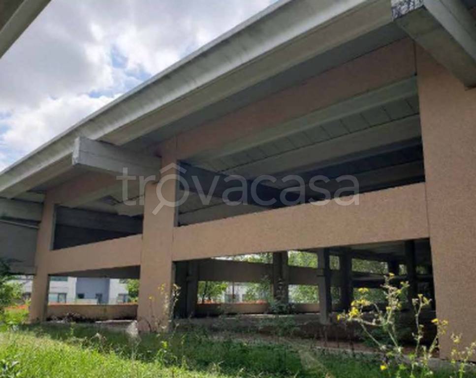 immagine annuncio 4 di 12