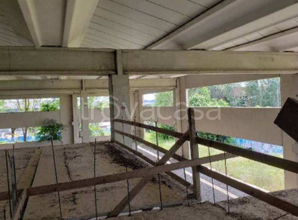 immagine annuncio 5 di 12