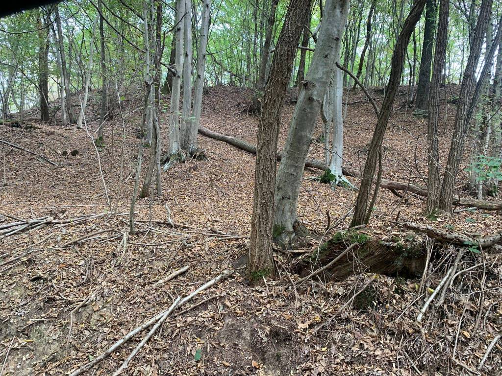 immagine annuncio 1 di 6