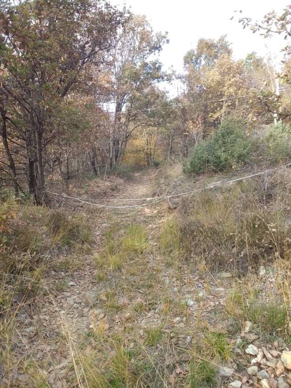 immagine annuncio 2 di 6