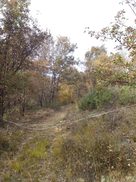 immagine annuncio 4 di 6