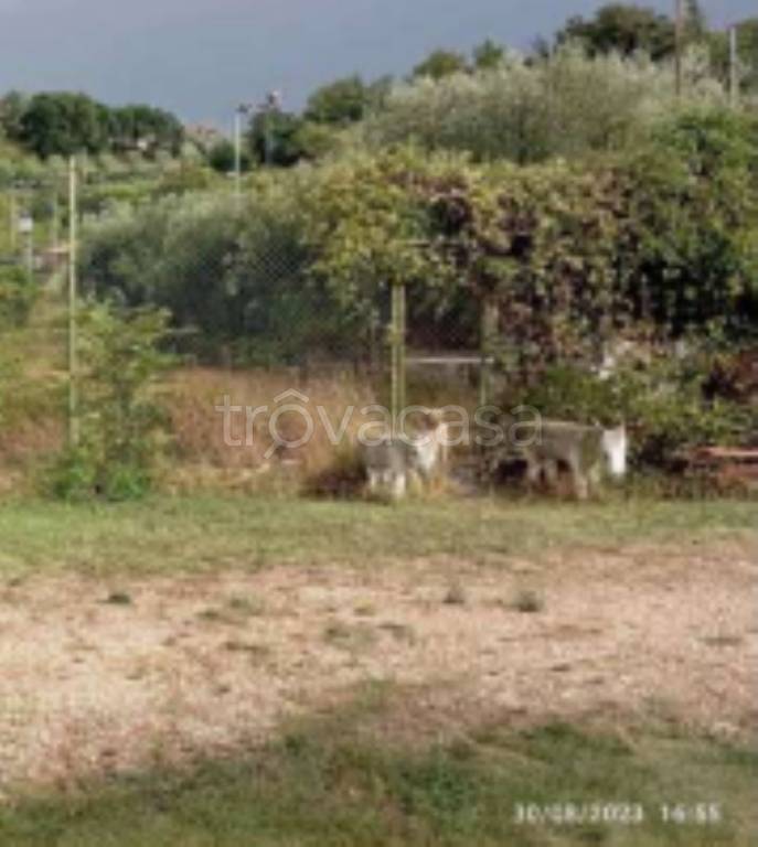 immagine annuncio 3 di 12