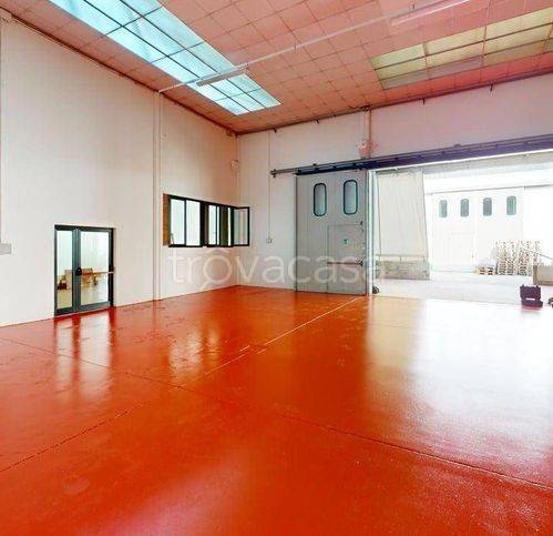 immagine annuncio 2 di 14